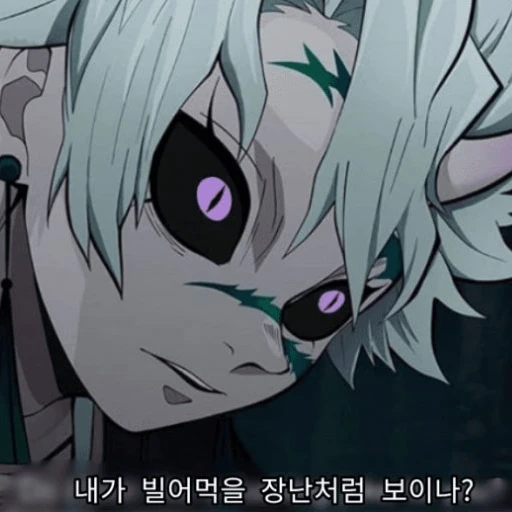 시나즈가와 사네미