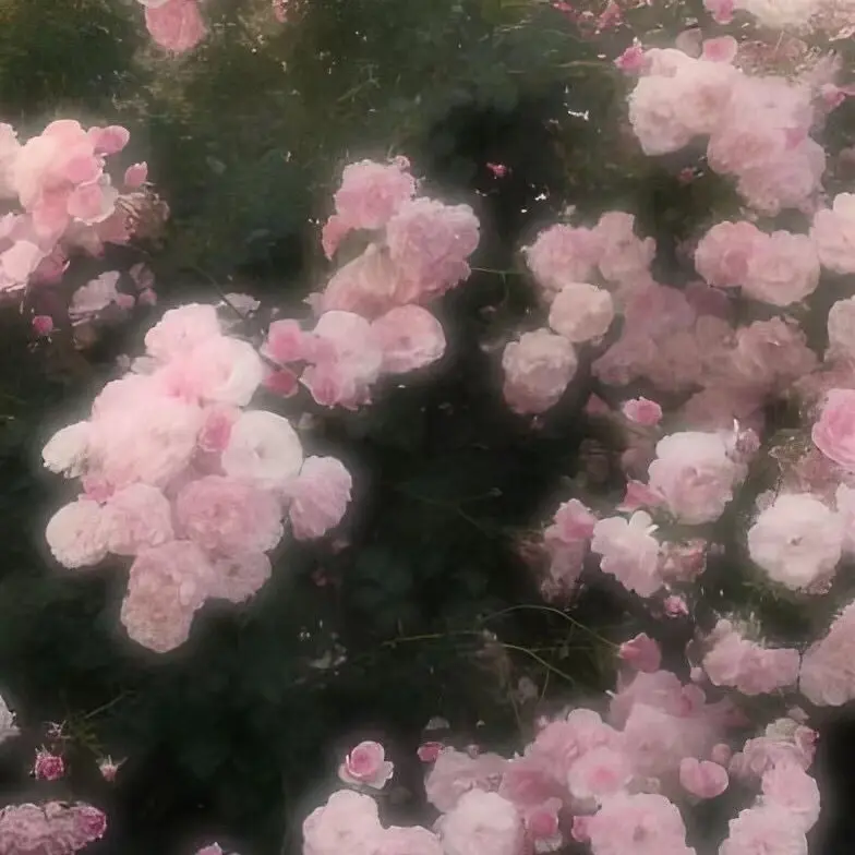 Anythingcouldnotbeeternal의 ロディ