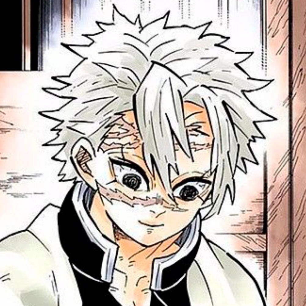 시나즈가와 사네미