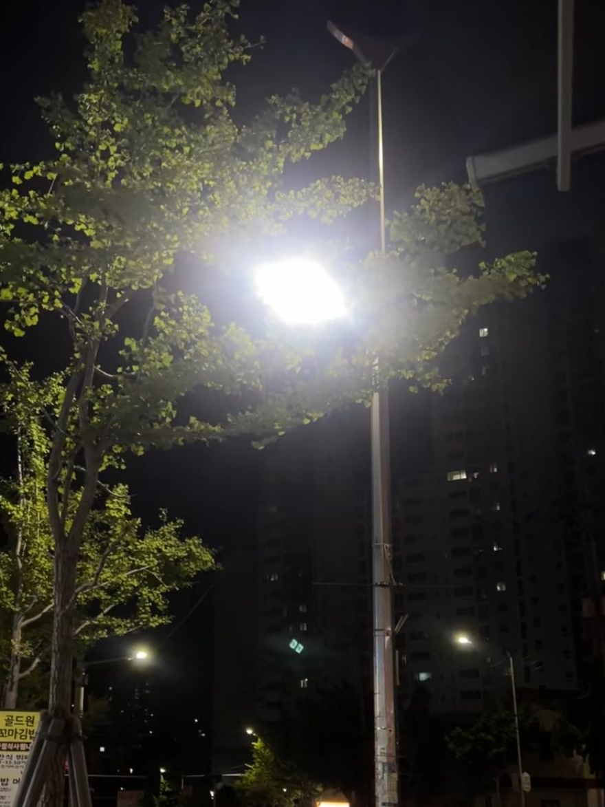 미스터리 수사반 대표 이미지