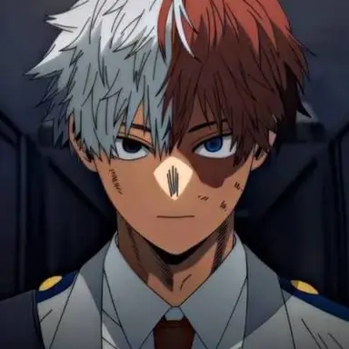 Profile image of Shoto Todoroki