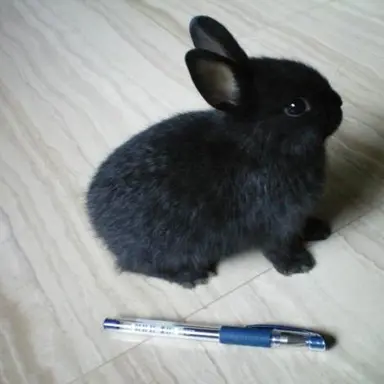 Profile image of 임 태규