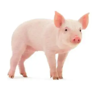 Profile image of 리나