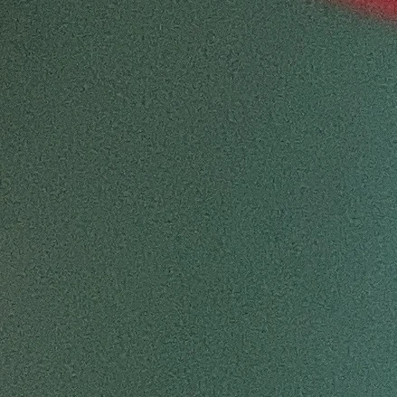 樹