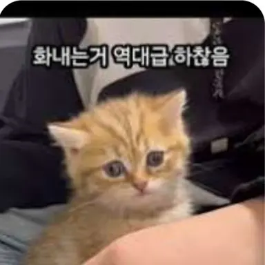 Profile image of 호랑