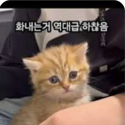 LowNerve5567의 레오와개집사둘 호랑