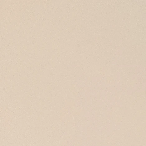 알콩