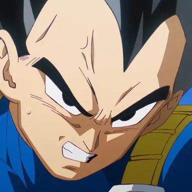 Profile image of 베지터