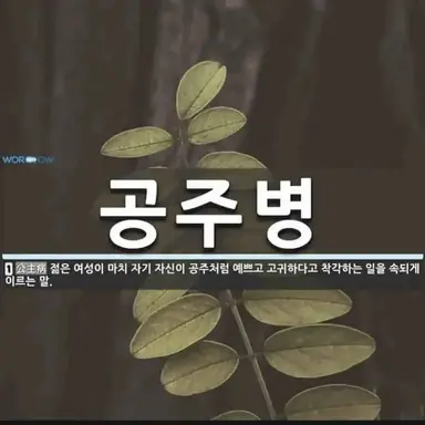 Profile image of 릴리 러브브레이즈