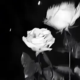 JerkyBoat3993의 Freak Show