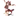 グランアレグリア