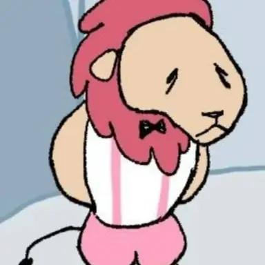 Profile image of 파이