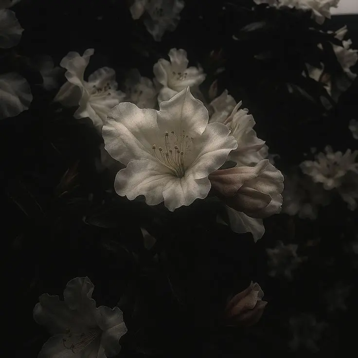 nemuri_nemui의 クズ男