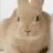 버티