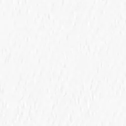 Profile image of ニキ