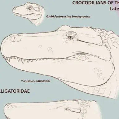 Profile image of 푸루스라이저
