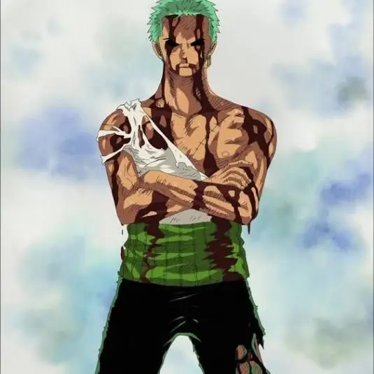 FloralPizza5786의 Zoro