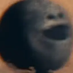 Profile image of 칼리스토
