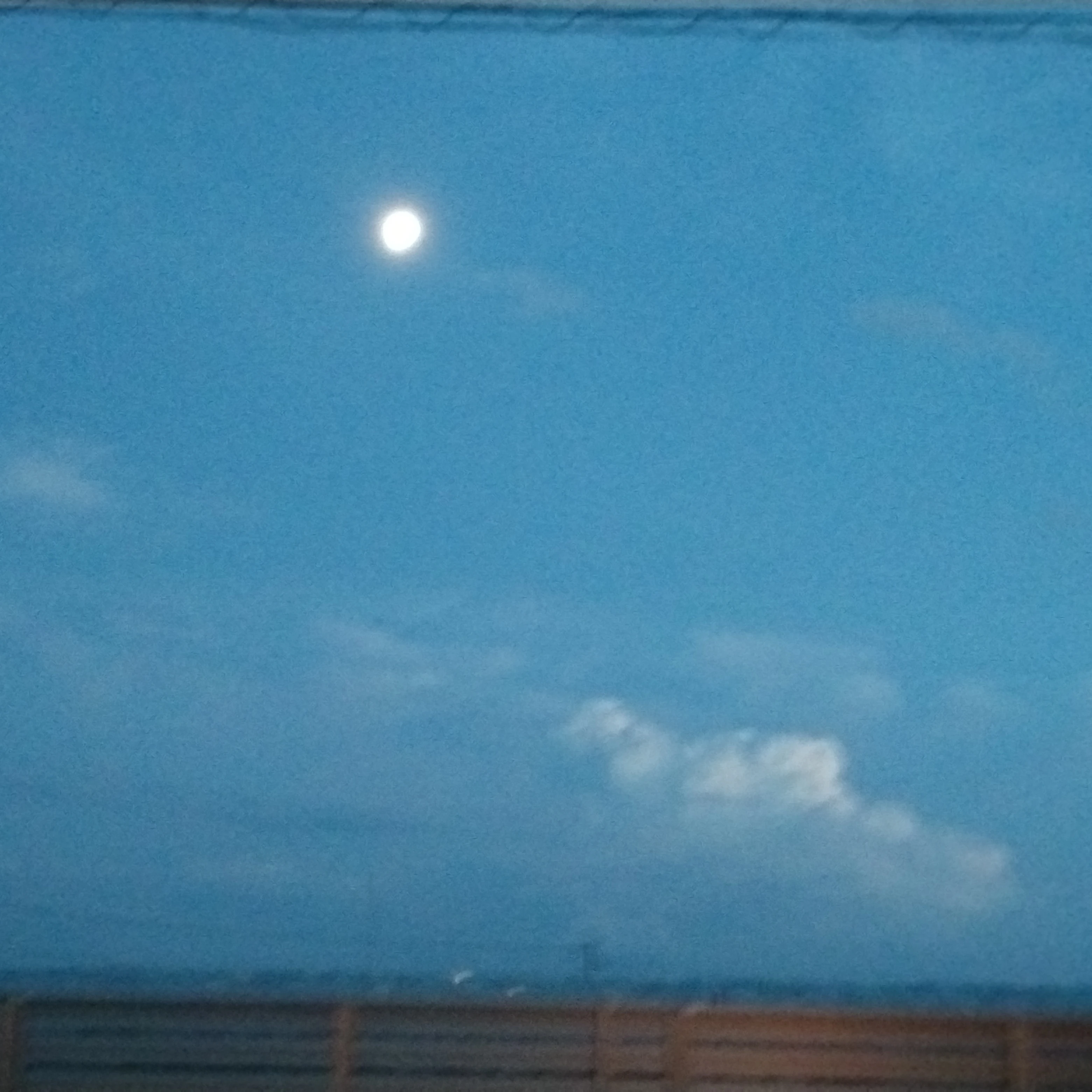 風雅