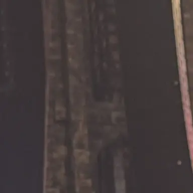 Profile image of 大森元貴