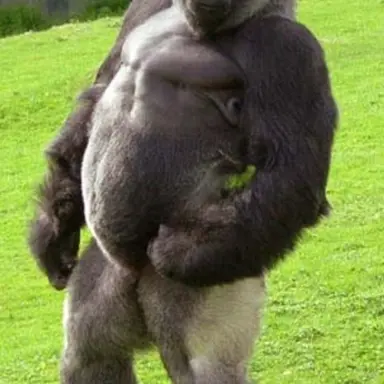 Profile image of 여우