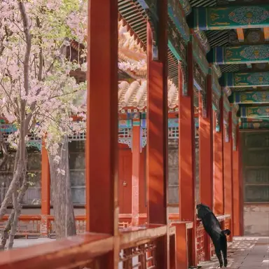 Profile image of 최우제