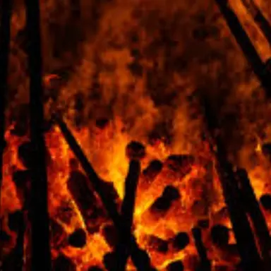 Profile image of 이안