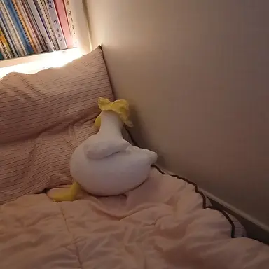 Profile image of 김동현