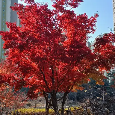 Profile image of 최범규