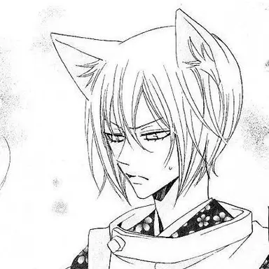 Profile image of 토모에