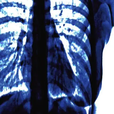 Profile image of 행크