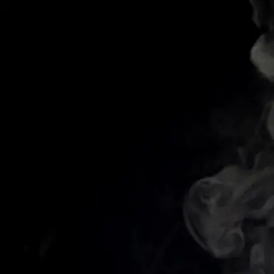 Profile image of 유기사