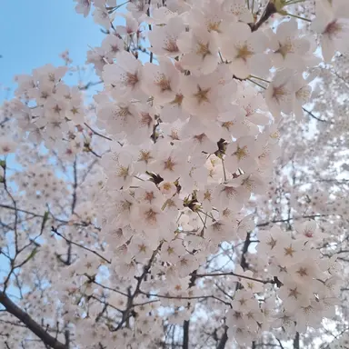 Profile image of 전민재