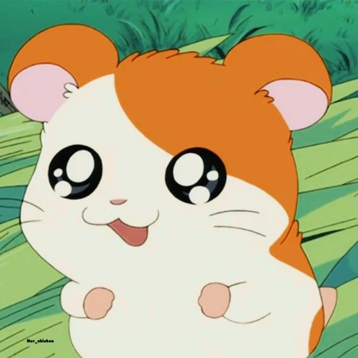 햄토리