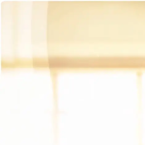 seintrilly의 아 이름 뭐하죠?ㅠㅠ