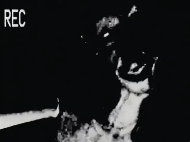 Profile image of オルタネイト