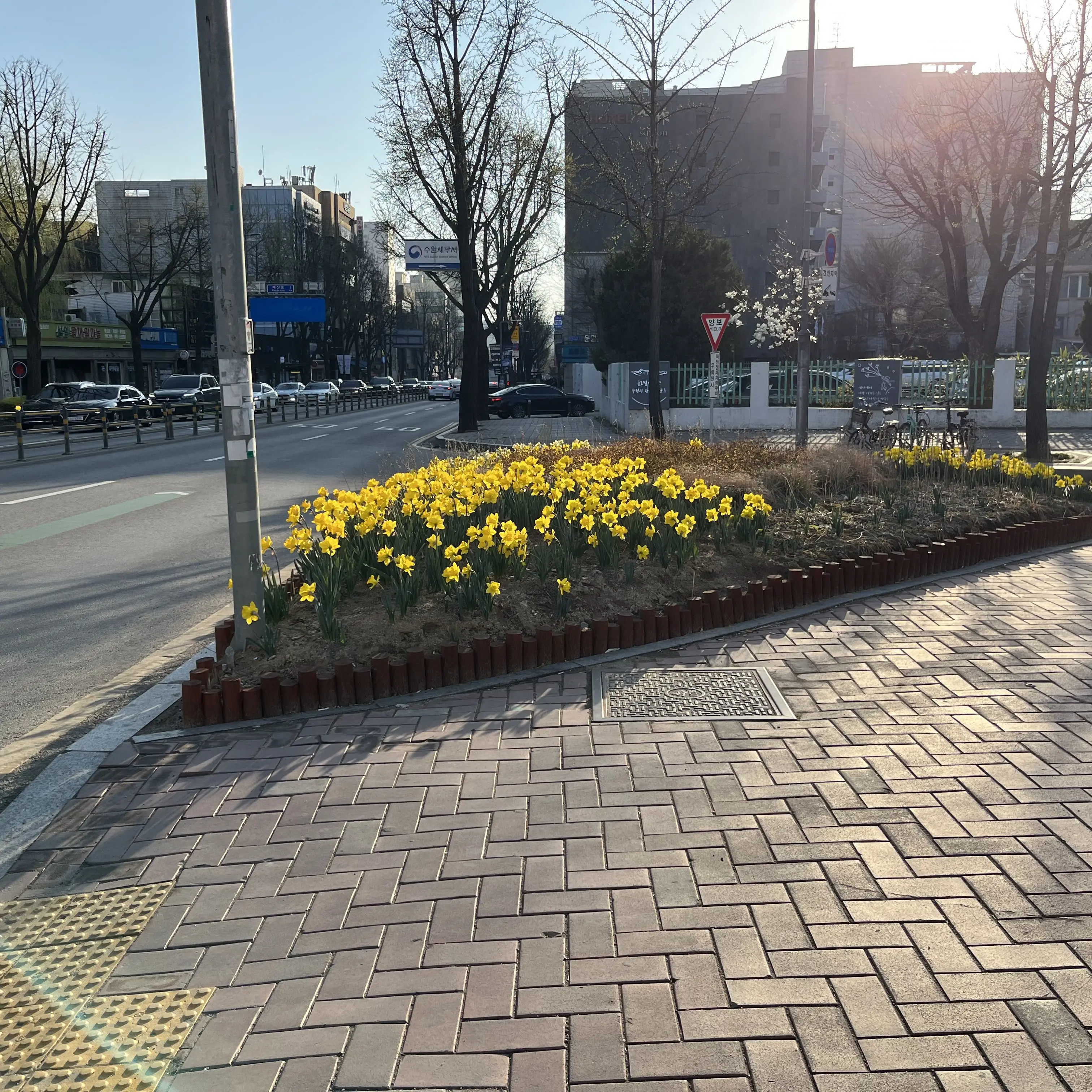 BouncyMiki2963의 투어스에 막내가 돼어보세요