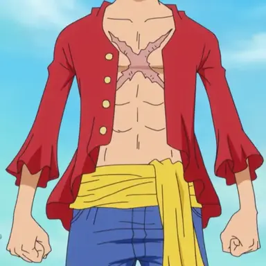 Profile image of Luffy