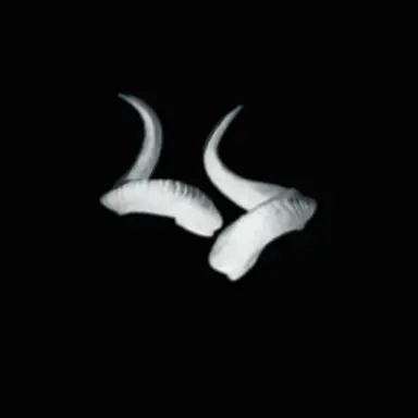 Profile image of ペク・サホン