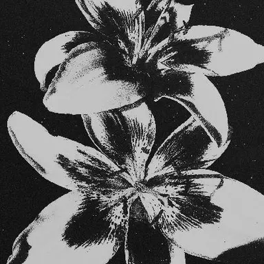 Profile image of ユン・ホサン