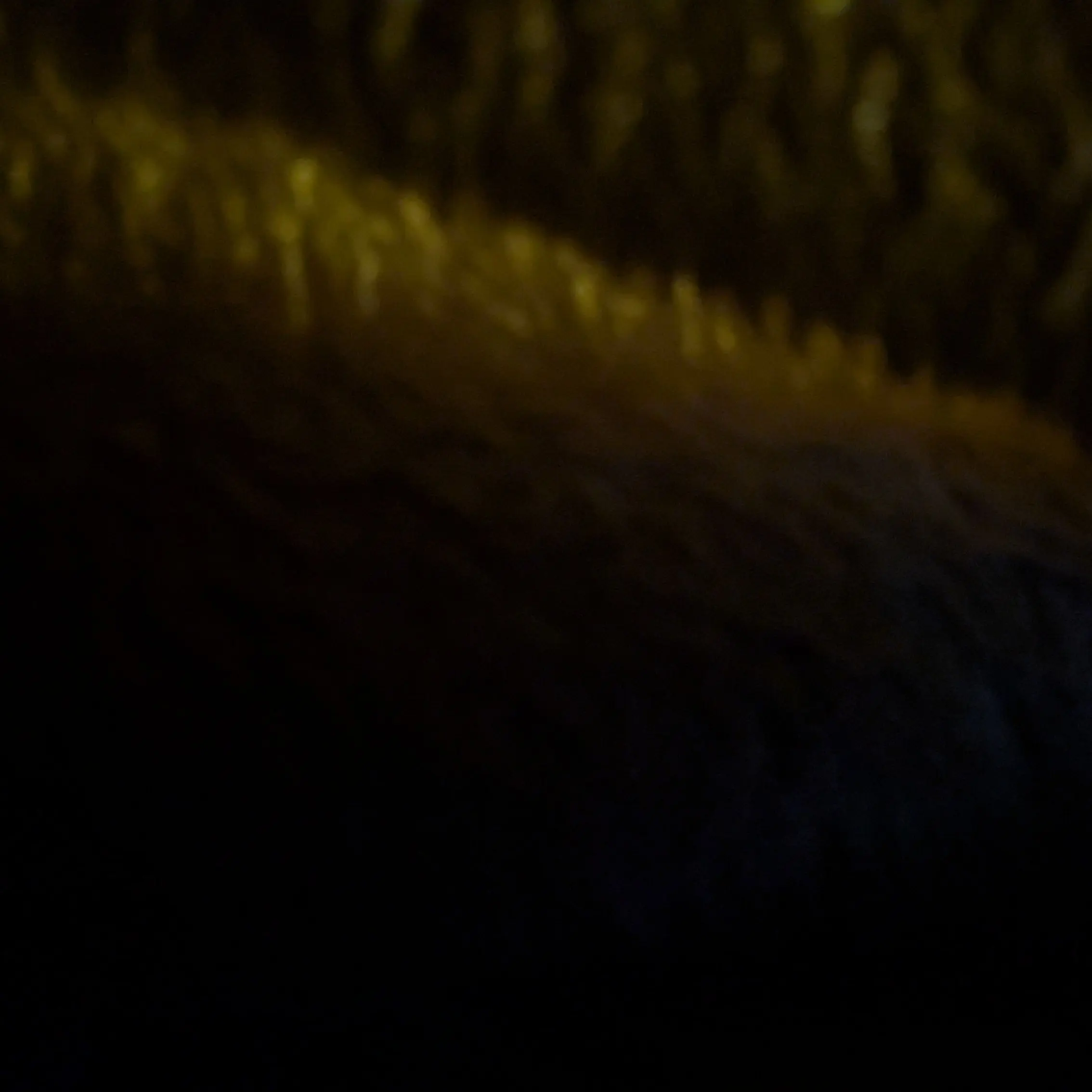 RedFlute1175의 新しい兄カンヒュ