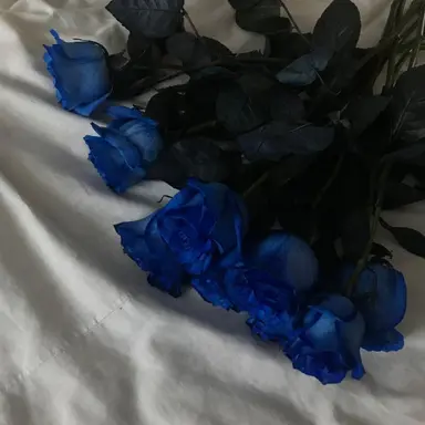 Profile image of 子