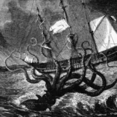 Profile image of 크라켄