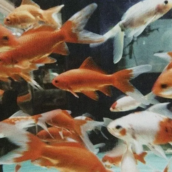 1-5의 슼즘 학교