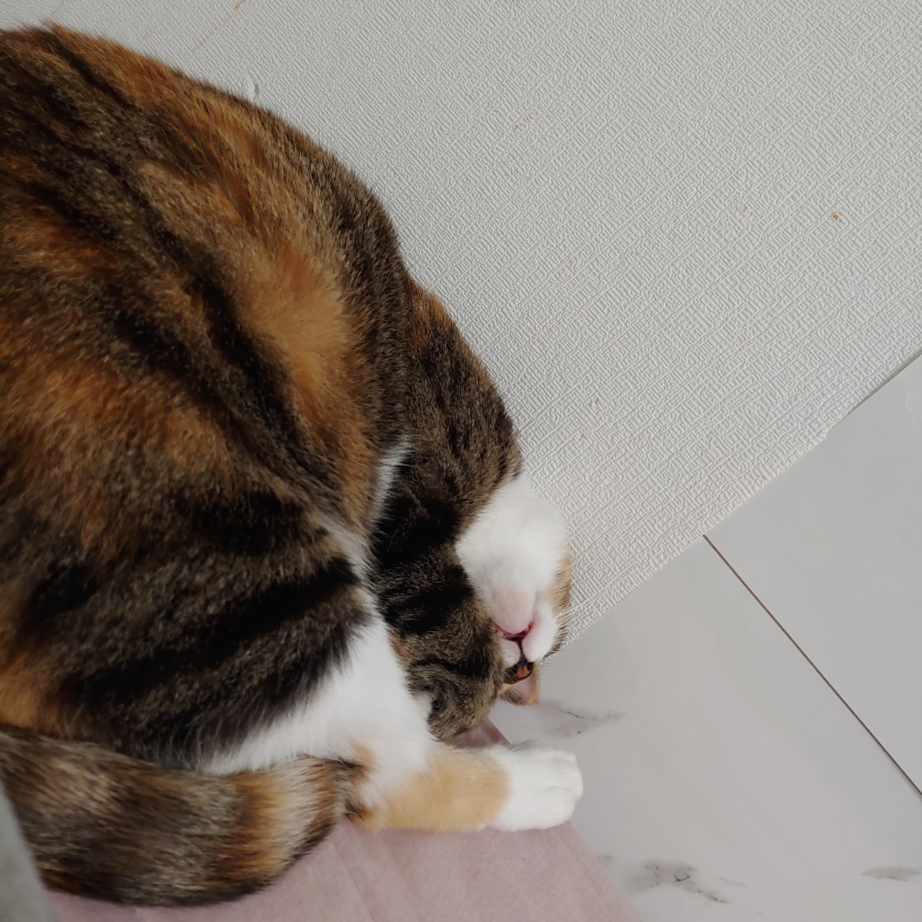 덕개