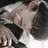 성태훈