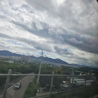 Profile image of 라더_상어