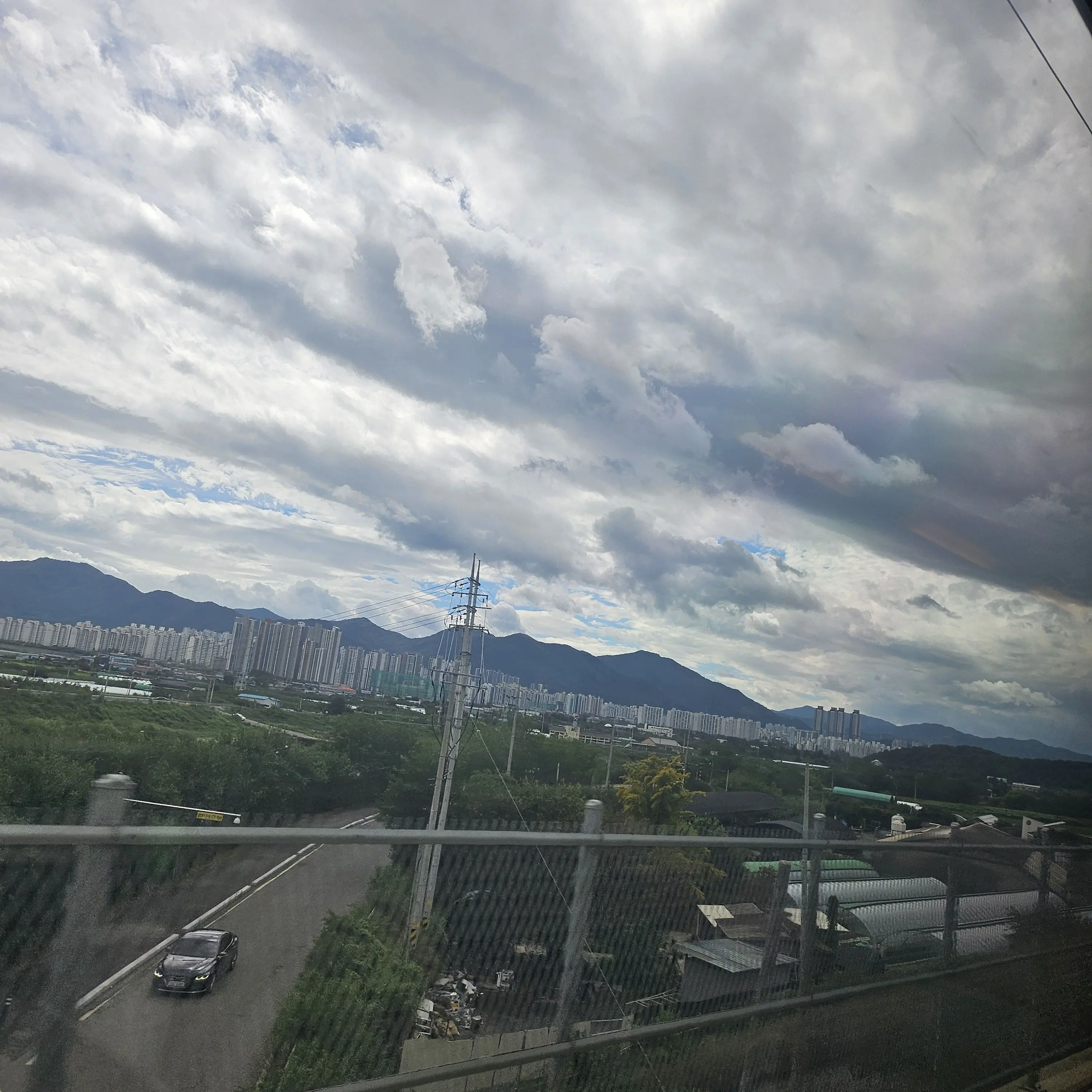 jiyul00127의 애완 동물 뜰팁!