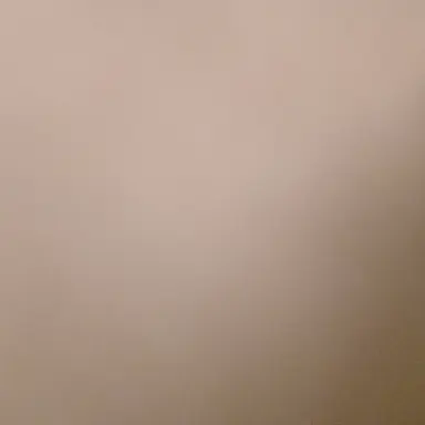 Profile image of 言ちゃん