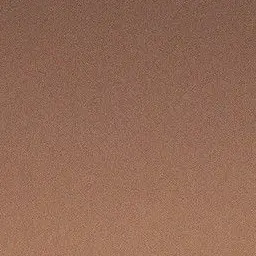 Profile image of 真人